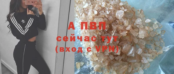 дживик Новодвинск